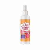 Sole Lady Handbag Cleaner Make Handbags Fresh And Clean